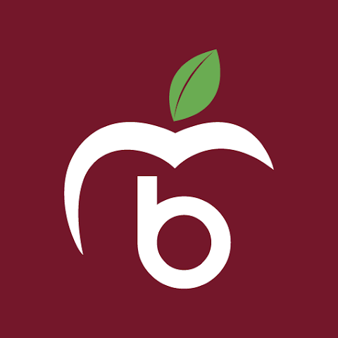 baladi-logo